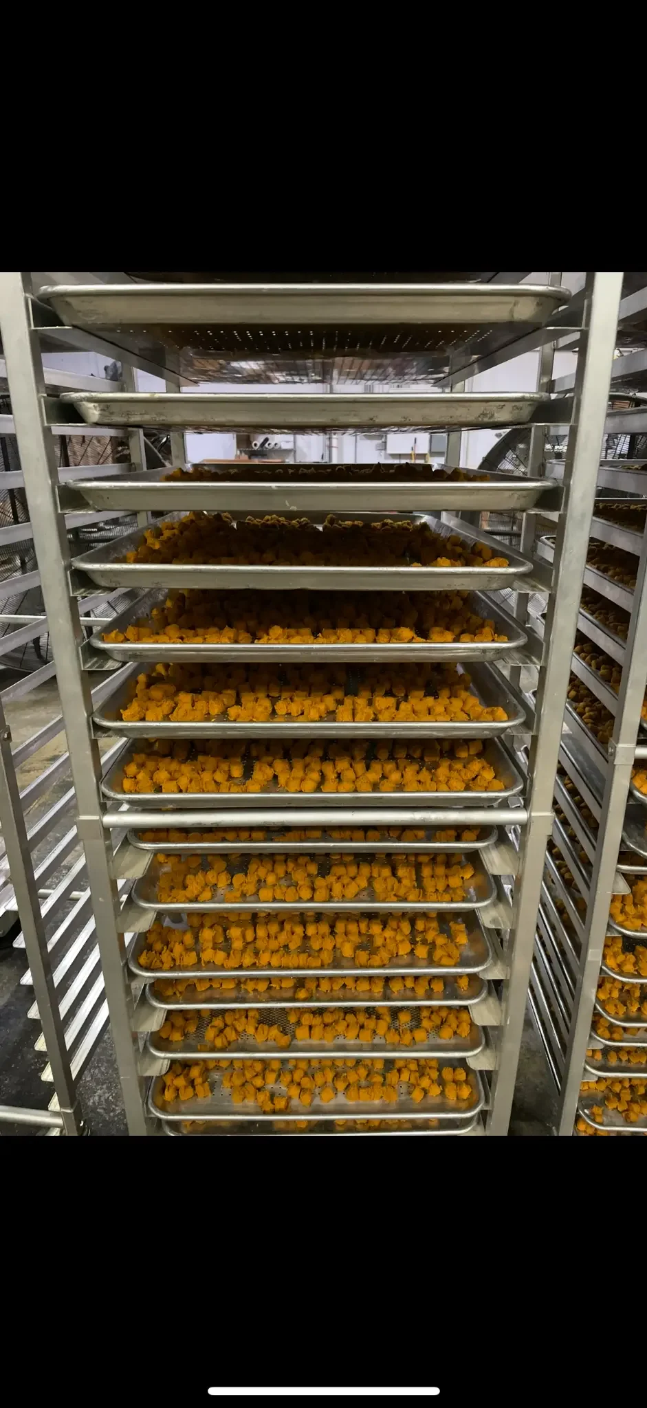 Pawdagen chews on drying racks in our USA facility
