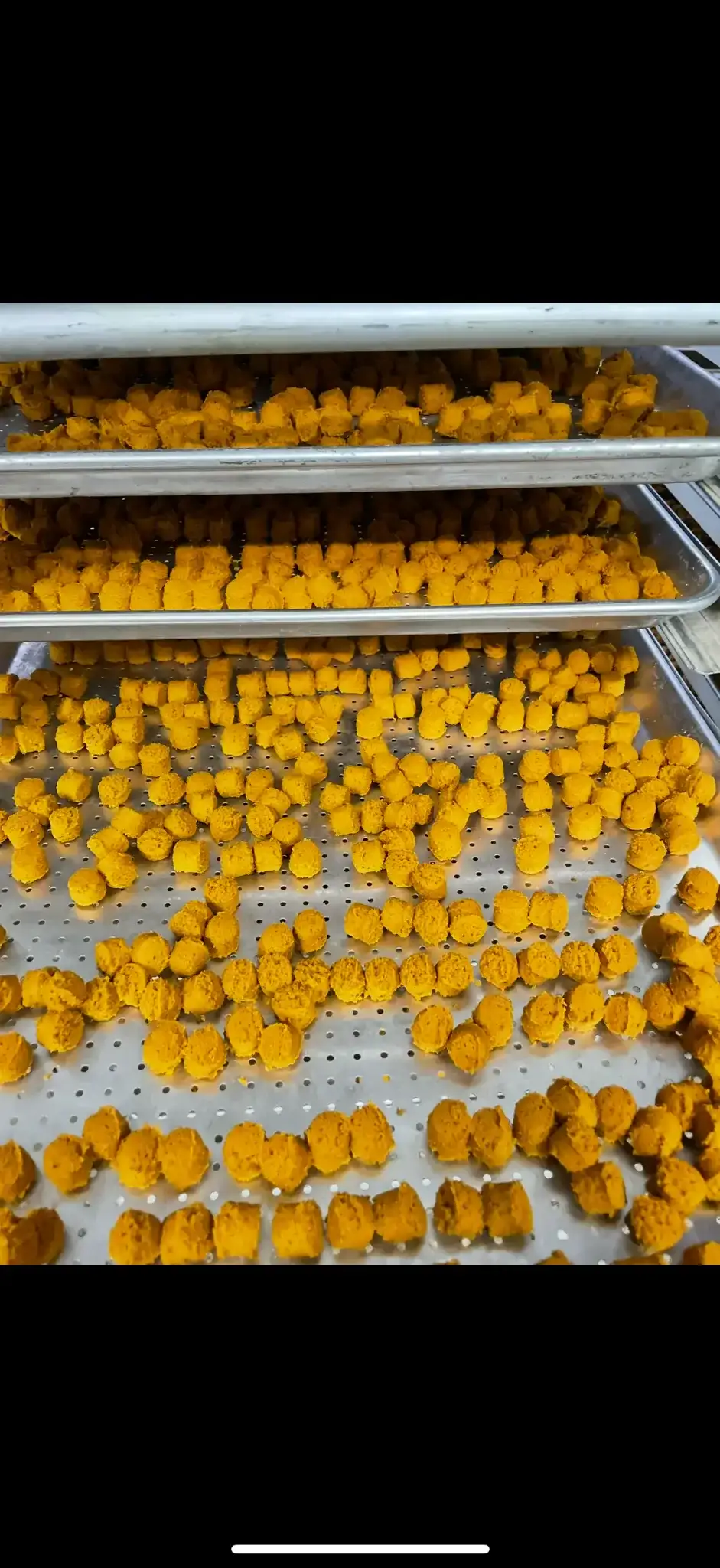 Close-up of Pawdagen chews on perforated trays